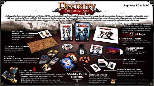 Divinity: Original Sin: коллекционного издания нам не видать…